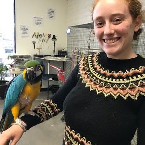 Meet your Posher, Julia